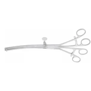 Lanes Twin Intestinal Clamps Curved